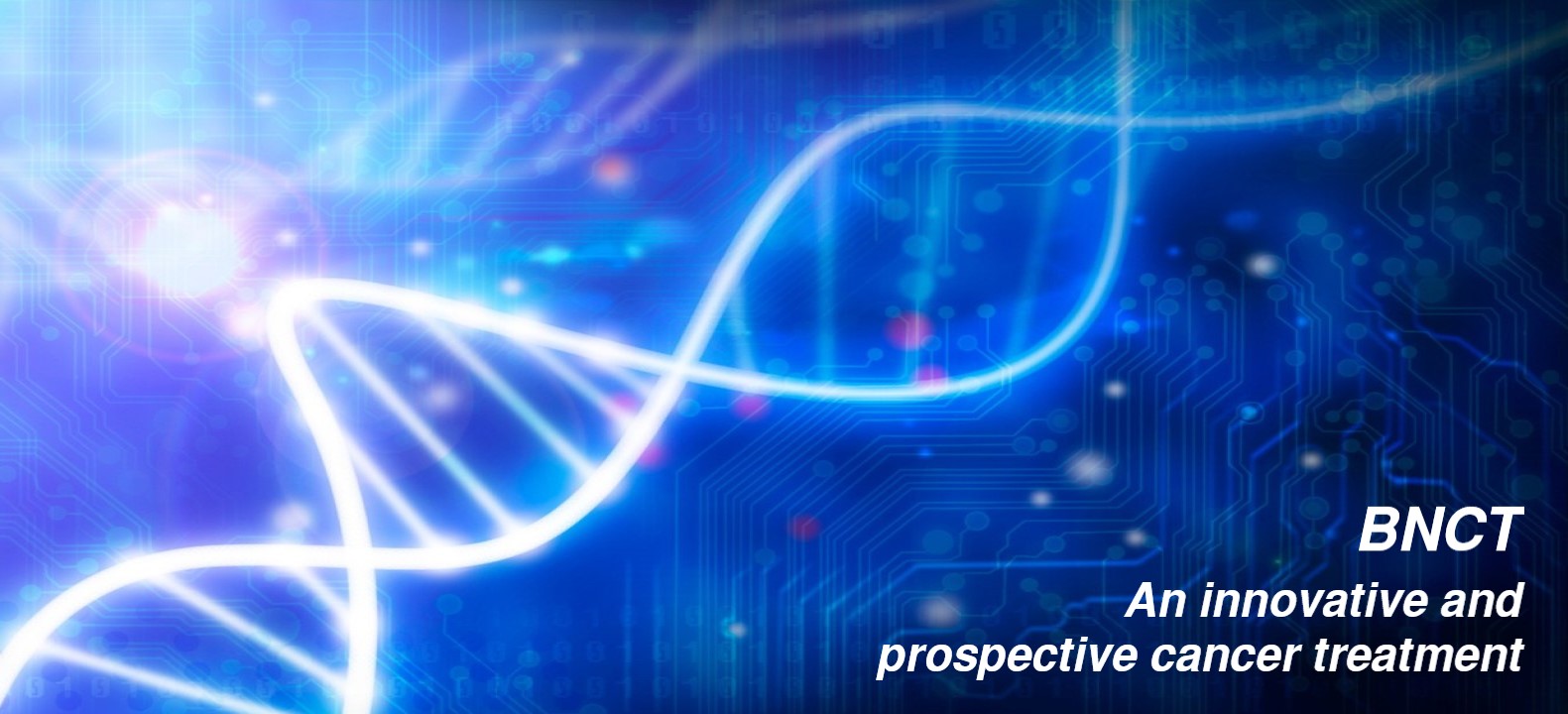 BORON-10 ENRICHED BORIC ACID